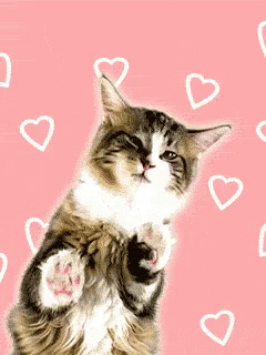 Романтическая gif картинка с кошкой и сердечками.