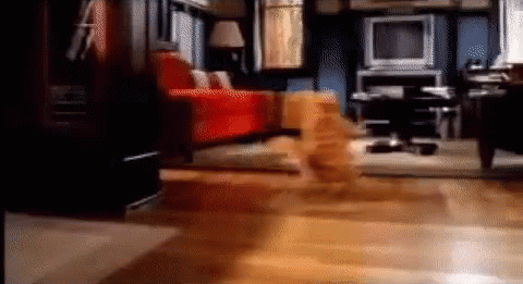 Мультяшшный гиф с тверком от рыжего кота.