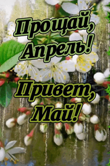 Гифка с надписью "Прощай Апрель! Привет, Май!". Гифка с надписью "Прощай Апрель! Привет, Май!".