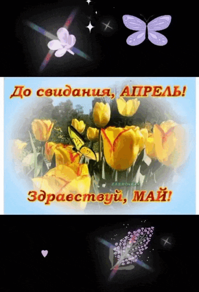 Мерцающая gif картинка с жёлтыми тюльпанами и надписью "До свидания, Апрель! Здравствуй, Май!". Мерцающая gif картинка с жёлтыми тюльпанами и надписью "До свидания, Апрель! Здравствуй, Май!".