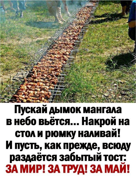 Приколы про шашлыки на Первомай. Приколы про шашлыки на Первомай.