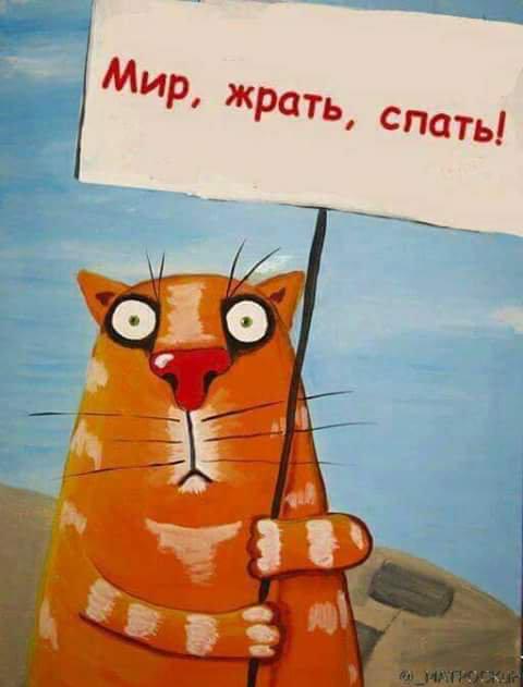 Кот с картинки Васи Ложкина с плакатом "Мир, жрать, спать!". Кот с картинки Васи Ложкина с плакатом "Мир, жрать, спать!".
