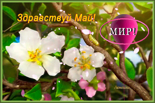 Необычная гифка Здравствуй Май!.