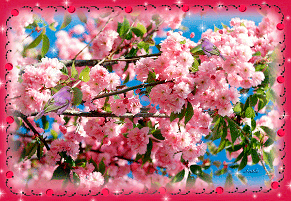 Цветочная гиф открытка "Здравствуй, Май!".