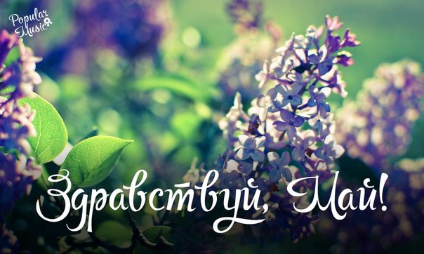 Красивая открытка с текстом "Здравствуй, май!".