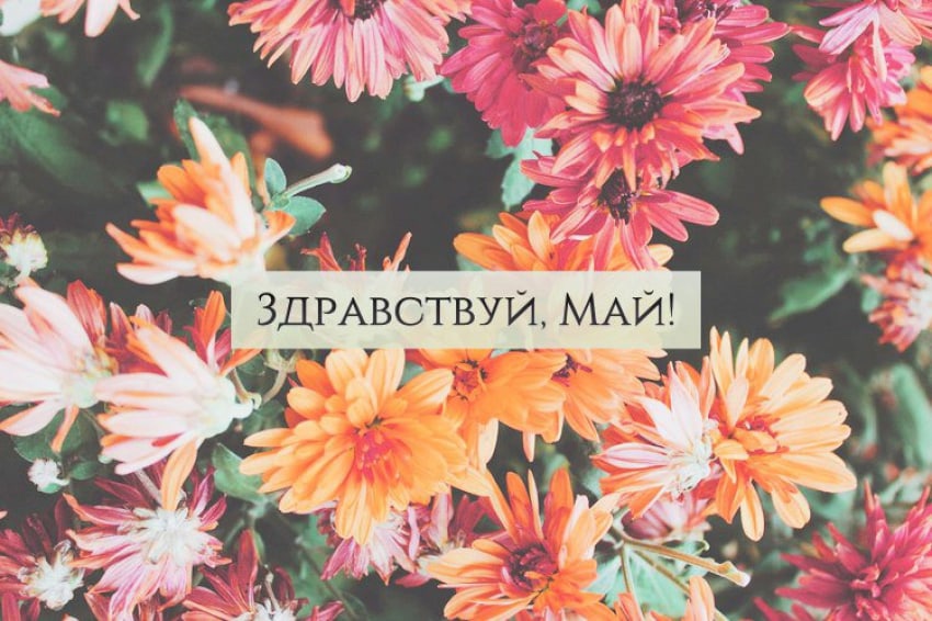 Креативная открытка с цветами "Здравствуй, май!".