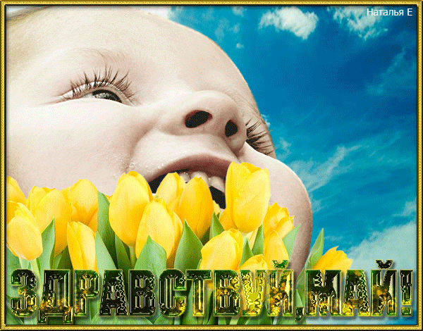 Гифка для детей с текстом "Здравствуй, май" и жёлтыми тюльпанами.