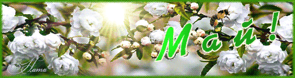 Весенняя анимация для фона с надписью "МАЙ!".