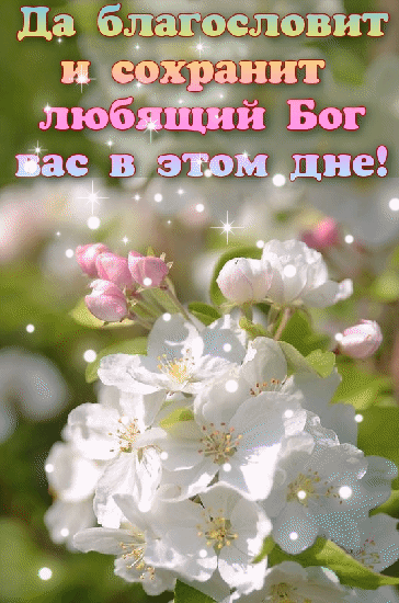 Весенняя гиф открытка "Да благословит и сохранит любящий Бог вас в этом дне!".