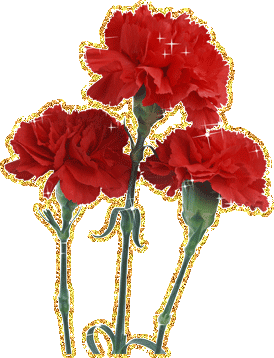 Gif картинка 3 мерцающих гвоздички на прозрачном фоне. Gif картинка 3 мерцающих гвоздички на прозрачном фоне.