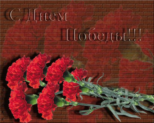 Новая гиф открытка с красными гвоздиками, георгиевской лентой и надписью "С днём Победы!" на фоне кирпичной стены. Новая гиф открытка с красными гвоздиками, георгиевской лентой и надписью "С днём Победы!" на фоне кирпичной стены.