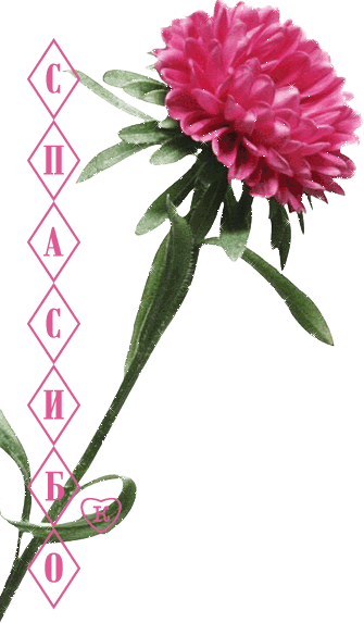 Необычная гиф открытка гвоздичка с надписью "Спасибо". Необычная гиф открытка гвоздичка с надписью "Спасибо".