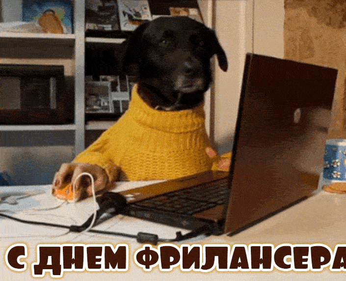 Смешная гифка с собакой за компьютером ко дню фрилансера.