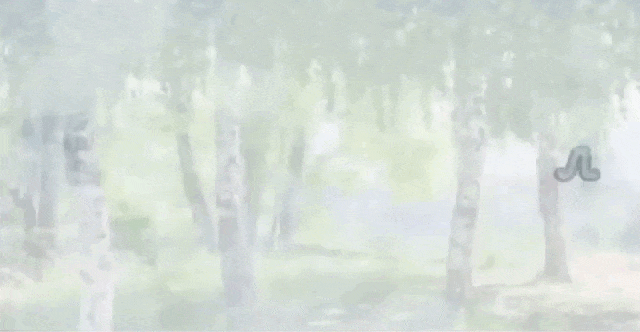 Весенняя gif картинка с текстом "В земле славянской пробудило, Пролетье радость и тепло!". Весенняя gif картинка с текстом "В земле славянской пробудило, Пролетье радость и тепло!".