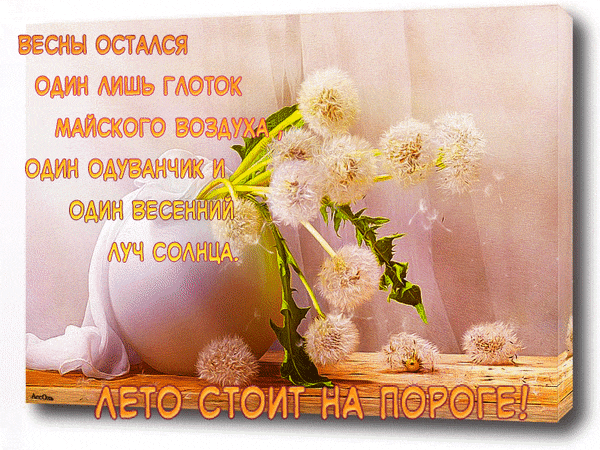 Анимация с одуванчиками и надписью "Весны остался лишь глоток майского воздуха, один одуванчик и один весенний луч солнца! Лето стоит на пороге!". Анимация с одуванчиками и надписью "Весны остался лишь глоток майского воздуха, один одуванчик и один весенний луч солнца! Лето стоит на пороге!".