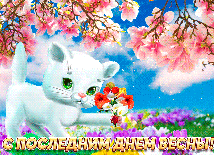 Нежная gif картинка с кошечкой и поздравлением с последним днём Весны. Нежная gif картинка с кошечкой и поздравлением с последним днём Весны.