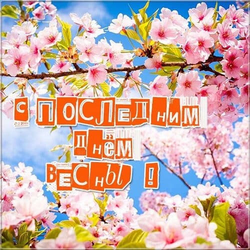 Весенняя открытка с цветами и надписью "С последним днём Весны!". Весенняя открытка с цветами и надписью "С последним днём Весны!".