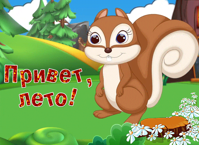 Смешная гифка для детей с белкой "Привет, лето!".