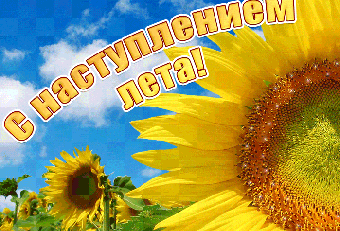 Красивая гифка с подсолнухом и надписью "С наступлением лета!".