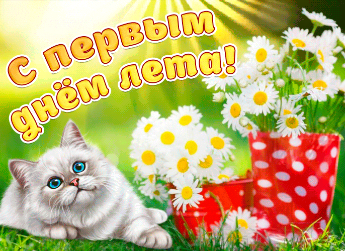 Прикольная гиф открытка с котом и ромашками к первому дню лета.
