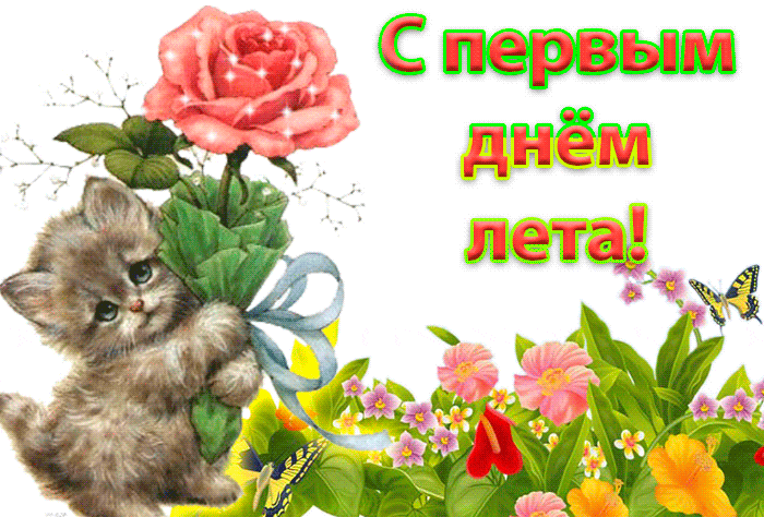 Детская анимация с котёнком с розой в лапках и поздравлением с первым летним днём.