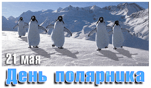 Смешная гифка с танцующими пингвинами на день полярника 21 мая. Смешная гифка с танцующими пингвинами на день полярника 21 мая.