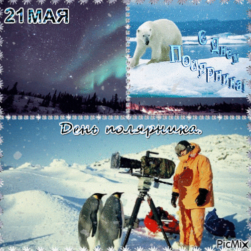 Необычный анимированный коллаж из фото ко дню полярника с медведем, пингвинами и северным сиянием. Необычный анимированный коллаж из фото ко дню полярника с медведем, пингвинами и северным сиянием.