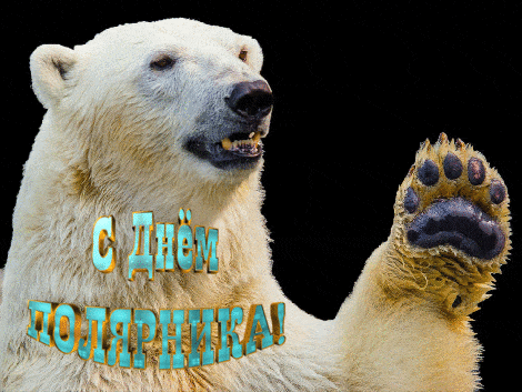 Смешная гиф открытка с машущим белым медведем, который приветствует полярников из России. Смешная гиф открытка с машущим белым медведем, который приветствует полярников из России.