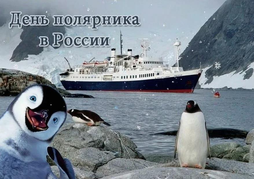 Весёлая картинка с пингвинами для детей ко дню полярника. Весёлая картинка с пингвинами для детей ко дню полярника.