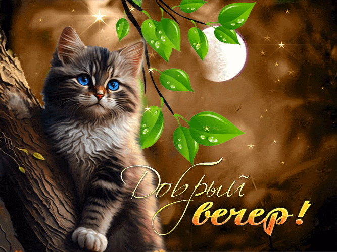 Прикольная гифка с котом на дереве и словами "Добрый вечер!".