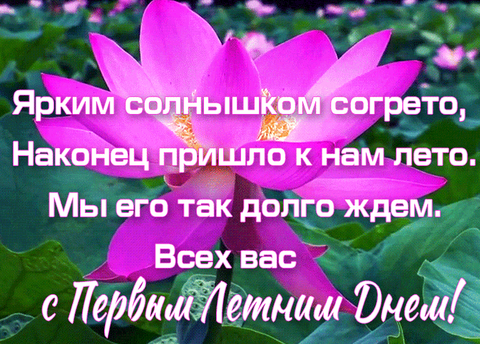 Забавная gif картинка со стишком к первому дню Лета.