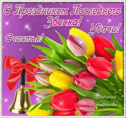 Весенние гифки с тюльпанами и текстом "С праздником последнего звонка! Удачи! Счастья!".