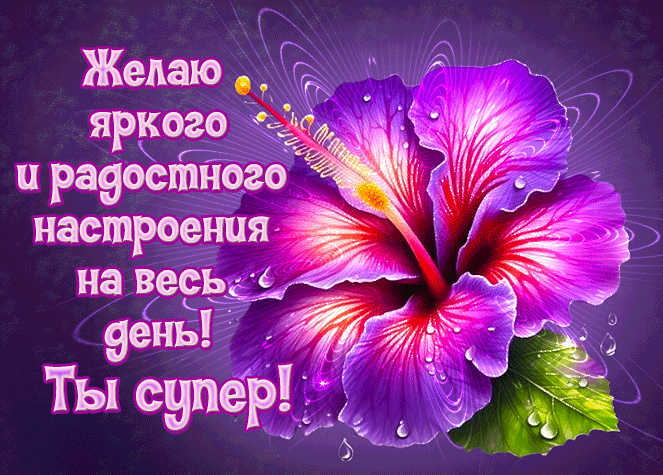 Волшебная гифка с цветком и пожеланием яркого и радостного настроения на весь день.
