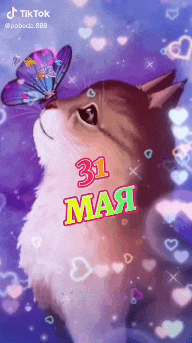 Красивая гифка с котиком из Тик Ток видео "31 Мая, Лето уже на носу!". Красивая гифка с котиком из Тик Ток видео "31 Мая, Лето уже на носу!".
