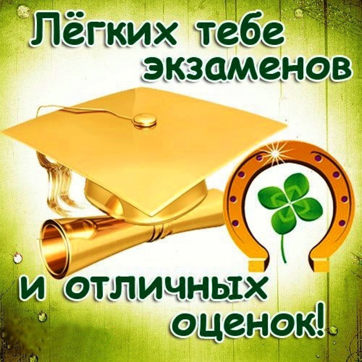 Картинка с подковой и текстом "Лёгких тебе экзаменов и отличных оценок!".