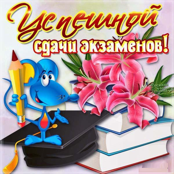 Прикольная открытка для школьников с текстом "Успешной сдачи экзаменов!".