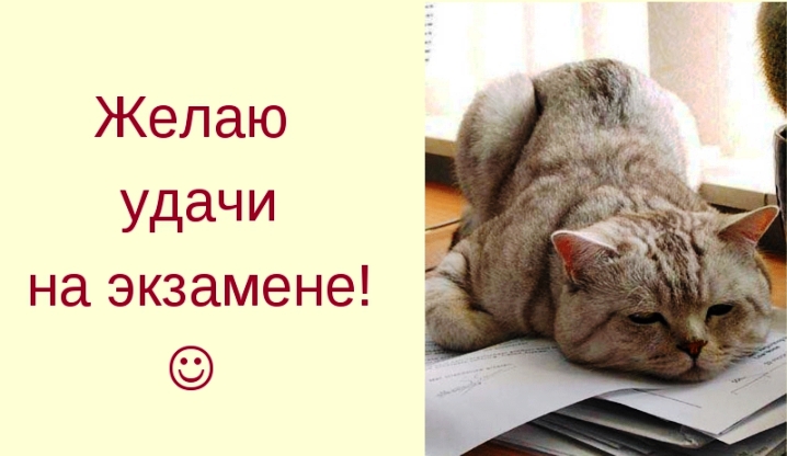 Милая открытка с котиком и пожеланием удачи на 'rpfvtyf[/