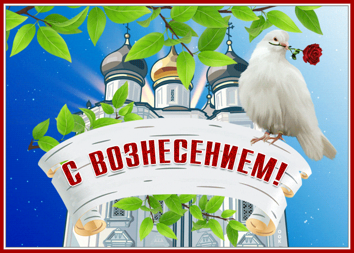 Летняя гиф открытка с голубем с розой в клюве на Вознесение.