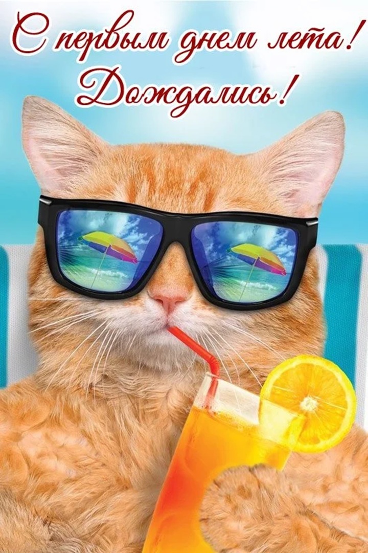 Смешная картинки с рыжим котом в очках, пьющим сок и надписью "С первым днём лета! Дождались!".