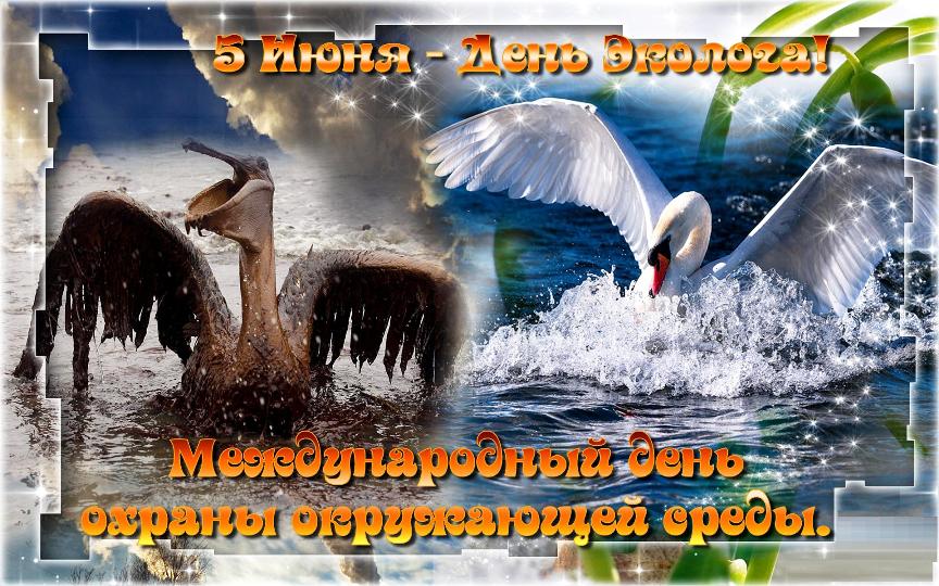 Поучительные картинки на международный день охраны окружающей среды или Эколога 5 Июня. С примером как может быть и как должно.