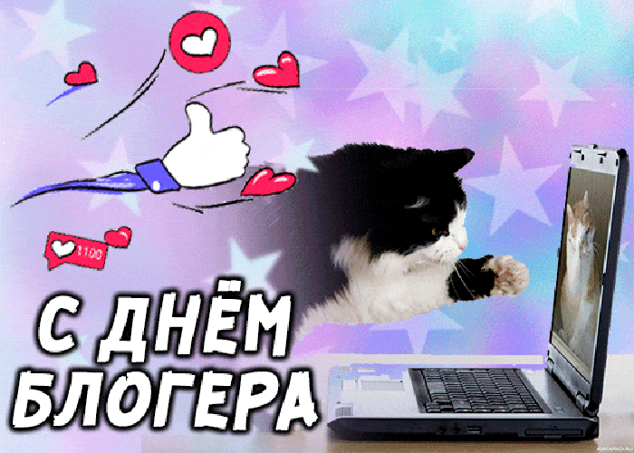 Прикольные и смешные гиф открытка с днём блогера с котом. Прикольные и смешные гиф открытка с днём блогера с котом.