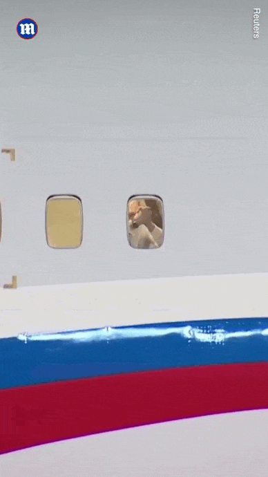 Гифка Путин машет рукой в иллюминатор самолёта.
