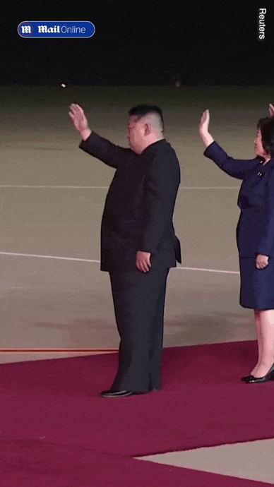 Анимация до свидания северная Корея.