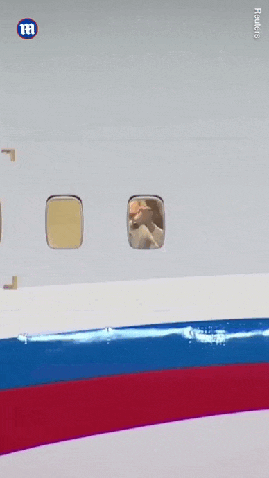 Вирусный гиф Путин и Ким Чен Ын прощаются "До свидания, Ким".