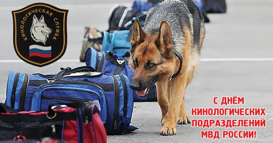 Новые прикольные открытки с овчаркой с днём кинолога 21 Июня 2024. Новые прикольные открытки с овчаркой с днём кинолога 21 Июня 2024.