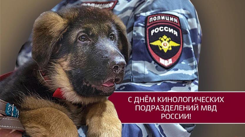 Красивая картинка со щенком ко дню кинологических подразделений МВД РФ. Красивая картинка со щенком ко дню кинологических подразделений МВД РФ.
