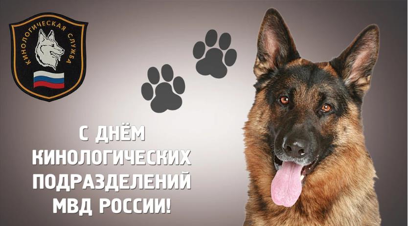 Забавная фотография овчарки с подписью "С днём кинологических подразделений МВД России!". Забавная фотография овчарки с подписью "С днём кинологических подразделений МВД России!".