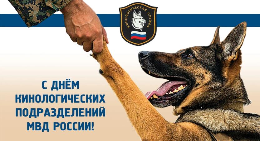 Лучшие картинки ко дню кинолога в России с верной собакой. Лучшие картинки ко дню кинолога в России с верной собакой.