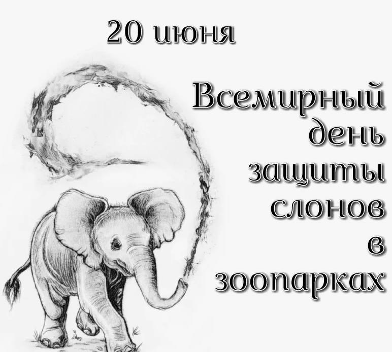 Чёрно белый рисунок к 20 Июня дню защиты хоботатых. Чёрно белый рисунок к 20 Июня дню защиты хоботатых.
