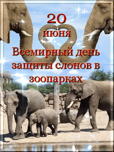 Красивая мерцающая gif картинка 20 Июня всемирный день защиты слонов в зоопарках. Красивая мерцающая gif картинка 20 Июня всемирный день защиты слонов в зоопарках.
